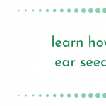 Ear seeds – Auricular Acupuncture
